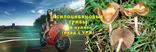 таблы Алексин
